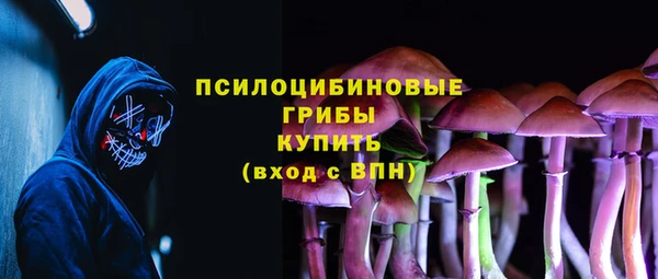 таблы Дмитриев