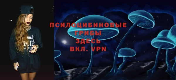 дживик Дмитров