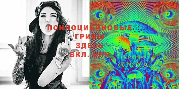 таблы Дмитриев