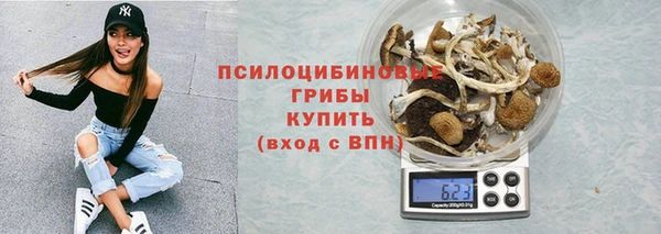 таблы Дмитриев